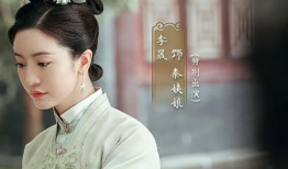 三妻四妾电视剧,宫廷权谋与情感纠葛的华丽演绎