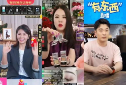 明星和网红哪个赚钱,揭秘谁才是真正的“吸金王”