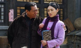 莲花 电视剧,穿越时空的传奇爱情