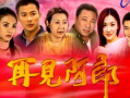 电视剧再见阿郎,温情岁月里的爱与救赎