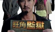 中国监狱电视剧大全,揭秘铁窗背后的故事与人性