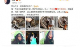 网友吃瓜爆料黑料,网友爆料娱乐圈黑料大揭秘