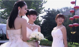 电视剧夏家三姐妹,命运交织的姐妹情深