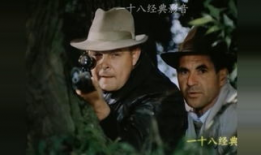 谍战电视剧大全,揭秘谍战电视剧的惊心动魄世界