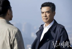 国安电视剧,揭秘国家安全战线上的生死较量