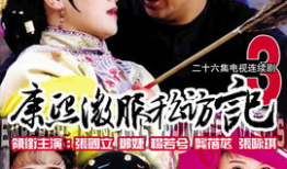 微服私访的电视剧,皇帝微服私访记