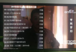 91看电视直播电视版本,畅享海量频道，尽享高清视听盛宴