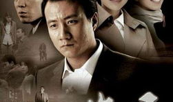 电视剧岁月演员表,实力派齐聚，演绎人生百态