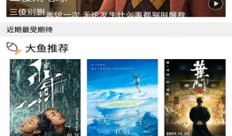 看剧恐怖片直播app,揭秘看剧恐怖片APP背后的惊悚故事