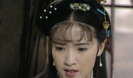 微服私访的电视剧,皇帝微服私访记