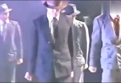 91排骨哥直播,揭秘美食背后的故事与魅力