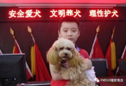 瑞安91电台直播号,解锁精彩声音之旅