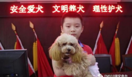 瑞安91电台直播号,解锁精彩声音之旅