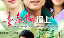 飞儿是什么电视剧了,飞儿——探寻青春梦想的励志篇章