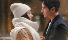 拯救者电视剧,守护正义的守护神