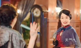 电视剧旗袍剧情介绍,风华绝代的秘密往事