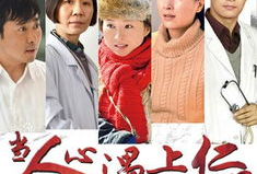 杨恭如演过的电视剧,从古装传奇到现代都市，经典角色回顾