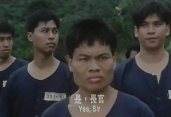 监狱题材电视剧,揭秘监狱里的真实人生