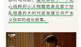 认证电视剧,见证时代变迁的视听盛宴
