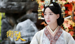 卫子夫电视剧,传奇皇后与汉武帝的宫廷爱恨