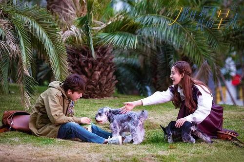 孟子义演过的电视剧,多部电视剧作品回顾