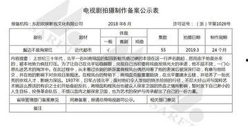 电视剧备案公示查询,热门剧集背后的故事与悬念